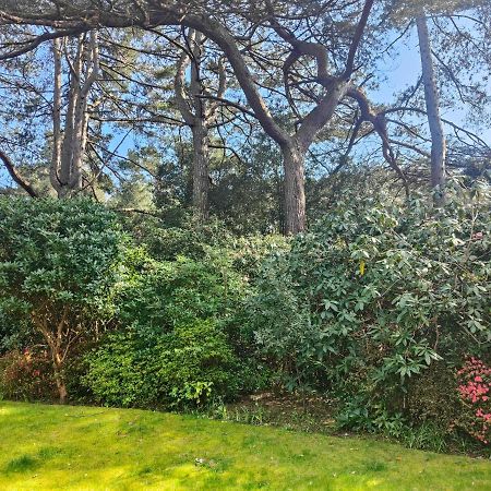 Peaceful Getaway In Forested Park Bournemouth Exterior photo