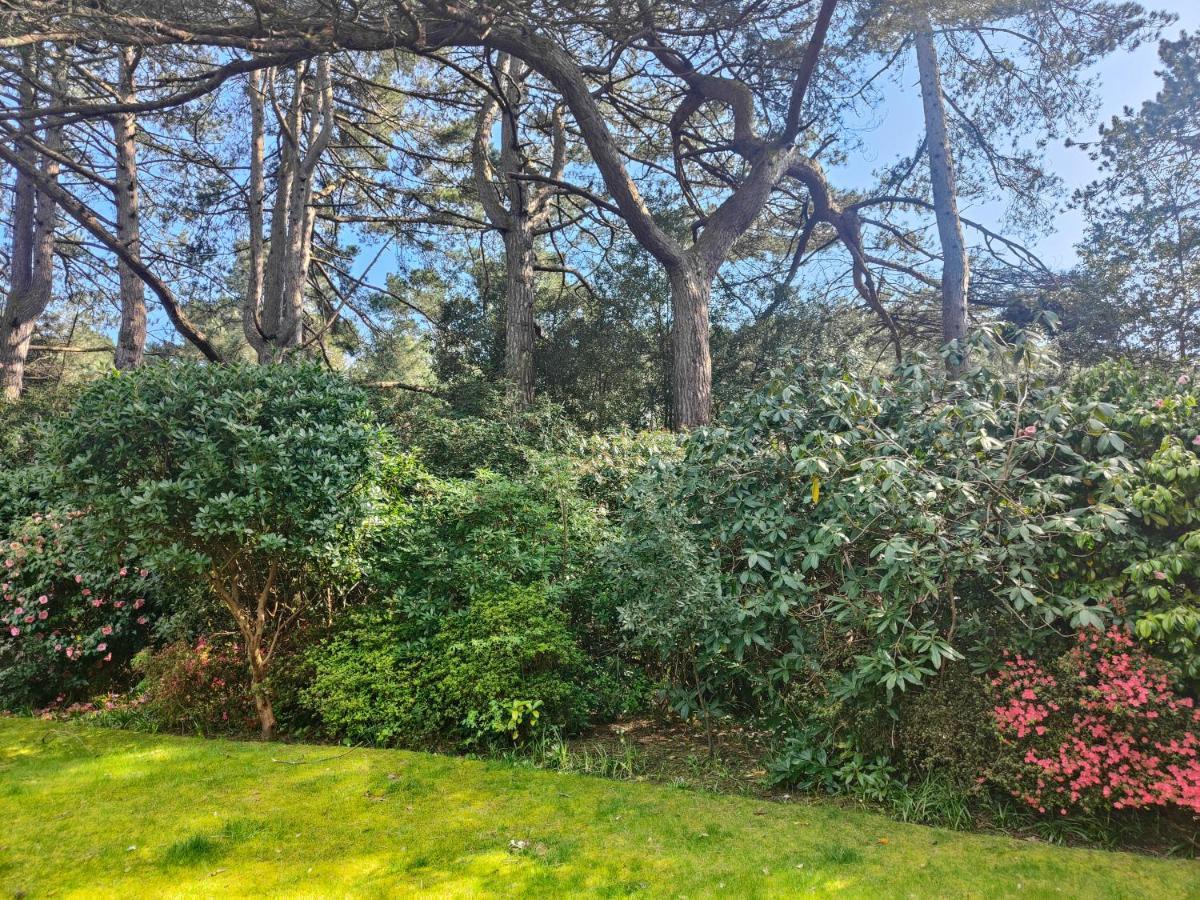 Peaceful Getaway In Forested Park Bournemouth Exterior photo